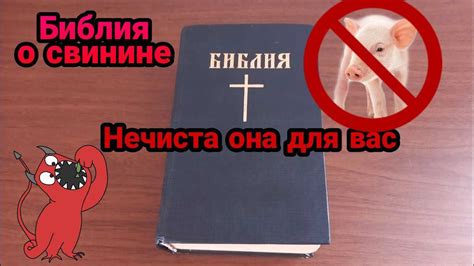 Можно ли по Библии есть конину?