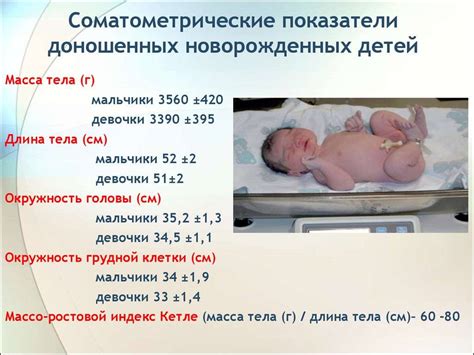 Можно ли родить на 30 неделе? Важные факты и рекомендации