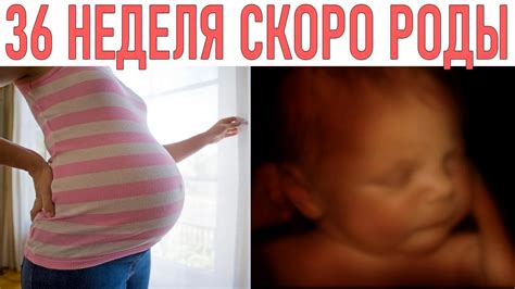 Можно ли родить на 36 неделе беременности?