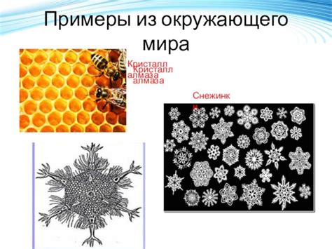 Можно ли считать "ели как есть" правильным русским выражением?