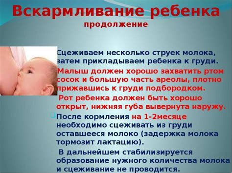 Можно ли часто кормить ребенка грудным молоком?