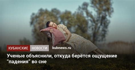 Мозг ночью: активность во сне