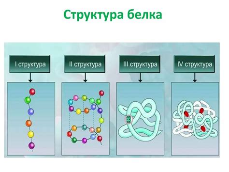 Молекулы и их структура: можно ли разделить на части?