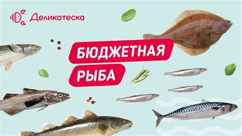 Молоко и рыба: полезно ли их комбинировать?