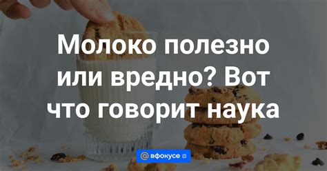 Молоко с творогом: полезно или вредно?