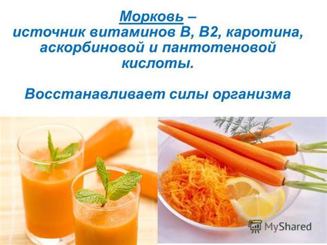 Морковь в солянке: отличный источник витаминов