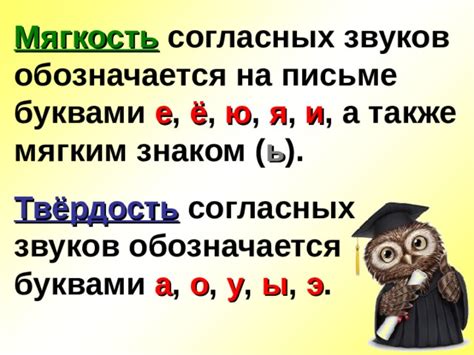 Мягкость согласных звуков в иноязычных словах