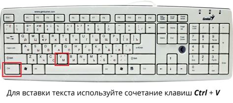 Нажмите клавишу "Ctrl+V", чтобы вставить скопированный текст