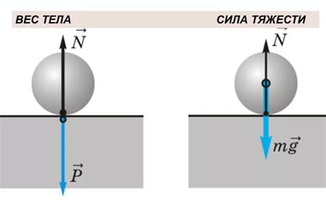 Направление силы тяжести и его влияние