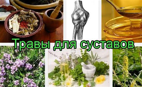 Народные средства для очищения суставов дома