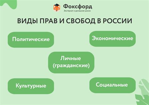 Нарушение прав граждан при досматривании вещей: как обжаловать?