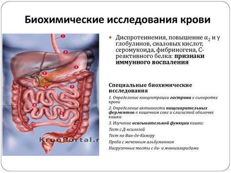 Нарушение функционирования желудочно-кишечного тракта