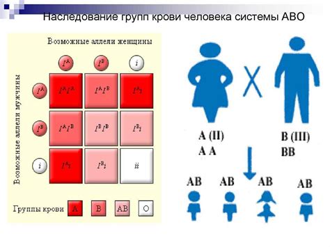 Наследование группы крови родителями