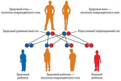 Наследственность и астма