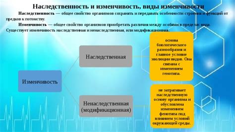 Наследственность и возраст: расположение к судорогам и некоторые аспекты старения