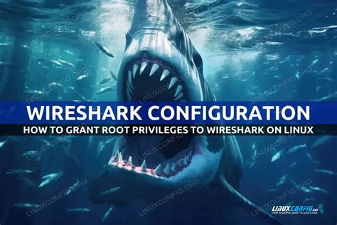 Настройка прав доступа и запуск Wireshark