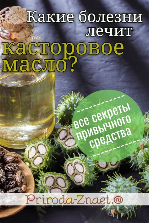 Научное обоснование эффективности касторового масла