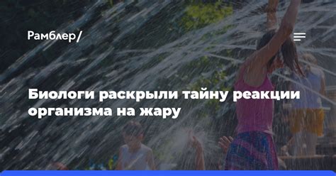 Научное объяснение физиологической реакции организма на жару