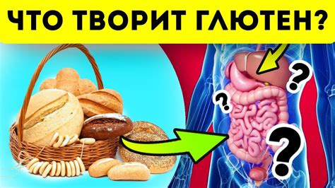 Научные исследования о влиянии глютена на вес