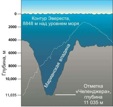 Научные открытия и экспедиции в Марианской впадине