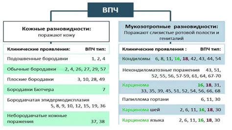 Научные факты о передаче ВПЧ 52