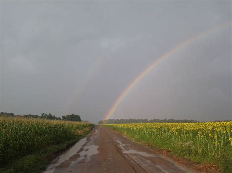 Начало отрисовки радуги