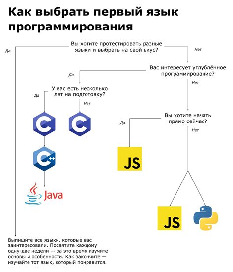 Начало пути: выбор языка программирования