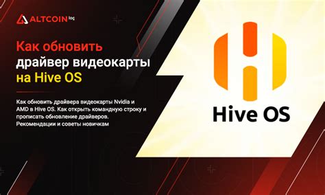 Начало работы в Hive OS