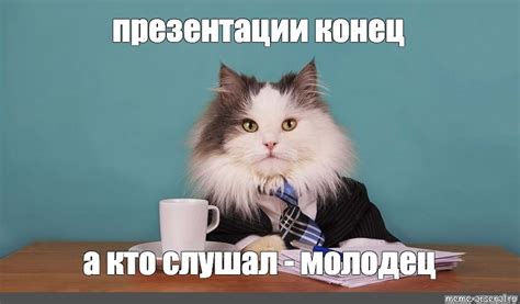 Начало работы с котом Баюном