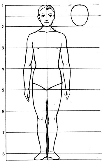 Начертание основных пропорций тела