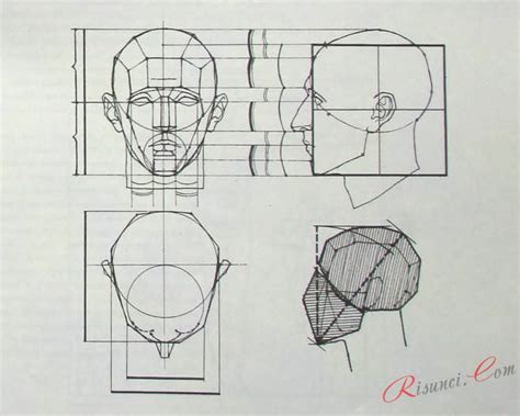 Начертание основных форм головы и тела