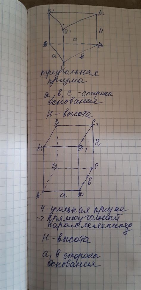 Начертите основные элементы