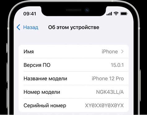 На каких моделях iPhone работает градусник тела?