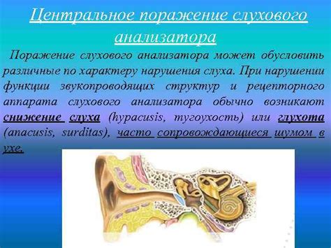 Негативные последствия отипакса для слухового нерва