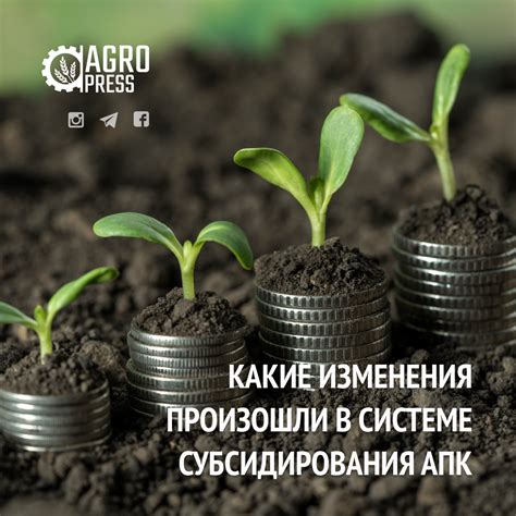 Недостатки текущей системы субсидирования