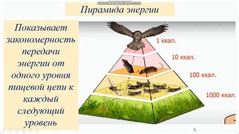 Неистощимая энергия для передачи неудовольствия