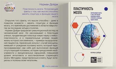 Нейропластичность: способность нейронов менять свою структуру и функции