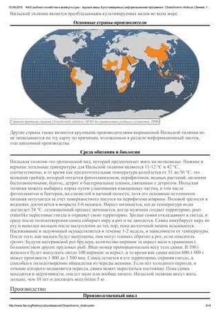 Необходимые условия: как обеспечить правильное разложение органического материала