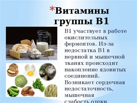 Неотъемлемая роль витамина В1 в нормальной работе нервной системы