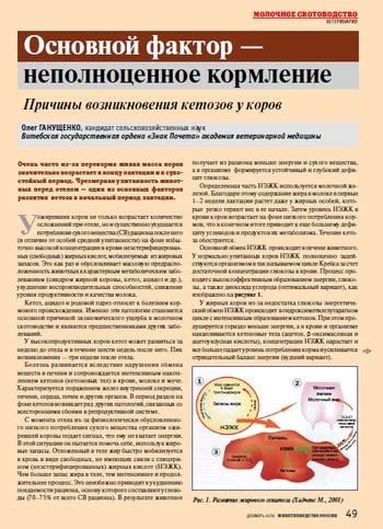 Неполноценное кормление