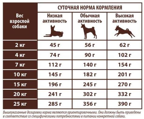 Несколько вариантов возраста для выбора щенка