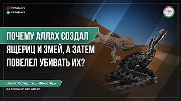 Нет ли запрета на убийство змей в исламе? Анализ мнений духовных лидеров