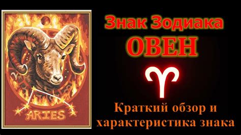 Обзор знака и его значение