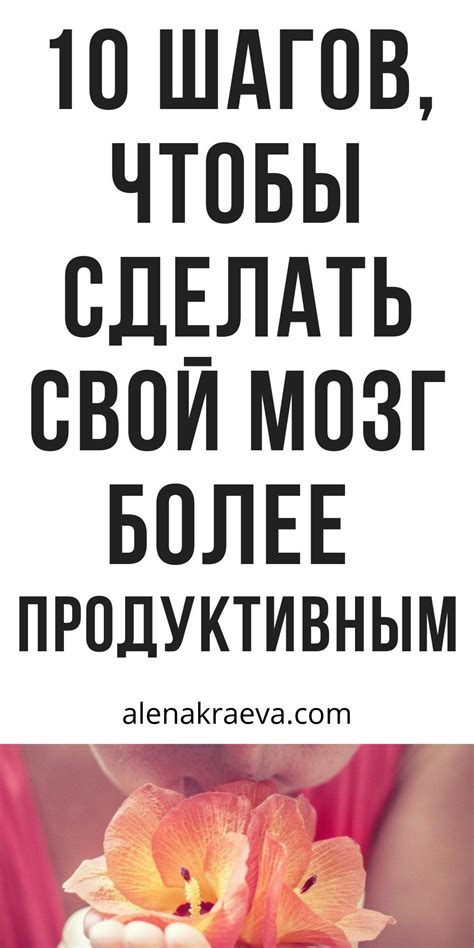 Обогатите мозг: навыки, которые можно развивать даже в повседневной жизни