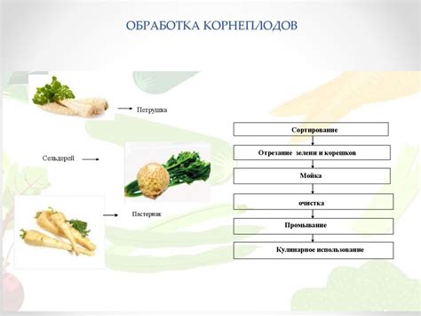 Обработка и подготовка рогов