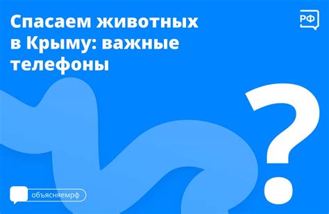 Обратитесь к специалистам и консультантам