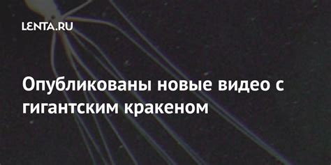 Обсуждение фото и видео с кракеном