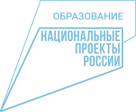 Общая информация о дегу