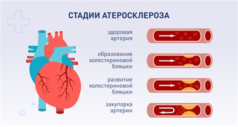 Общее описание и факторы риска