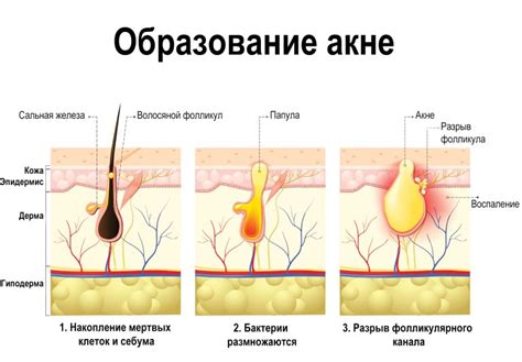 Общение и его роль в поддержании силы духа